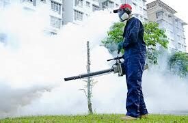 Fumigation Services