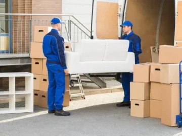 Furniture Movers