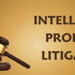 IP Litigation Cases