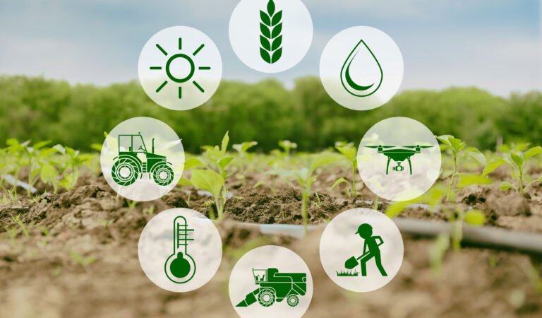 The Rise of Smart Farming in India: How Technology is Reshaping the Agriculture Sector