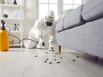 Winter Extermination