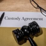 Custody Agreements