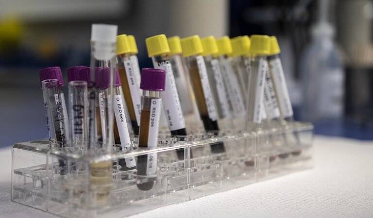 Essential Diagnostic Tests You Can Book Easily in Dubai