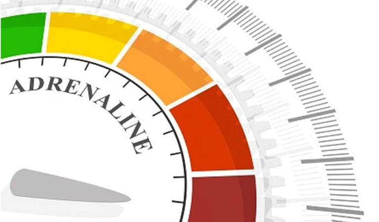 Risk and Adrenaline: What Really Pulls Players Toward Crash-Style Game