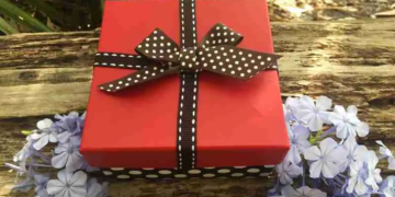 Order Butterflies Online