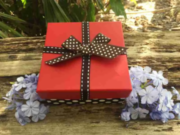 Order Butterflies Online