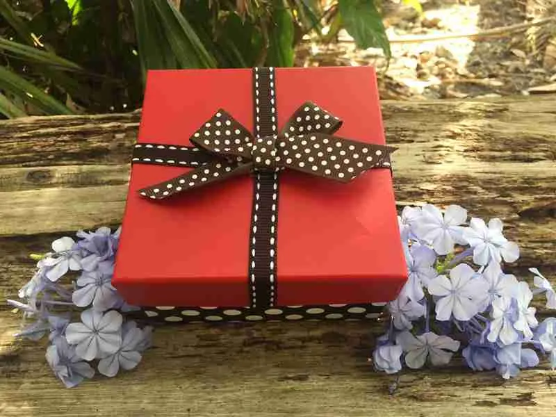 Order Butterflies Online