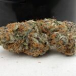 Afghan Kush