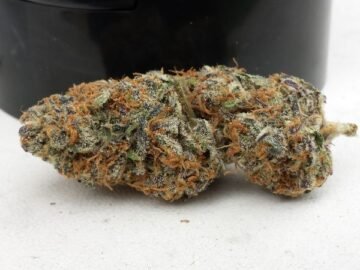 Afghan Kush