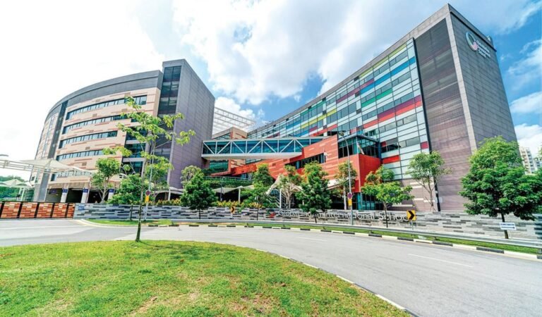 Global Citizenship Starts at International Primary Schools in Singapore