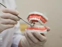General Dentists