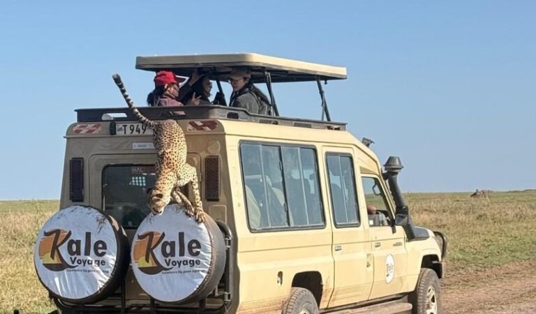 Tanzania Safari Package – The Ultimate African Wildlife Adventure