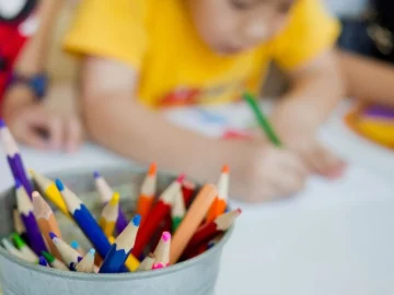 Primary School Application Process