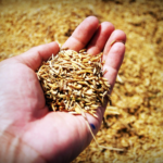 Smart Farming Tech