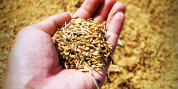Smart Farming Tech