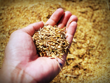 Smart Farming Tech