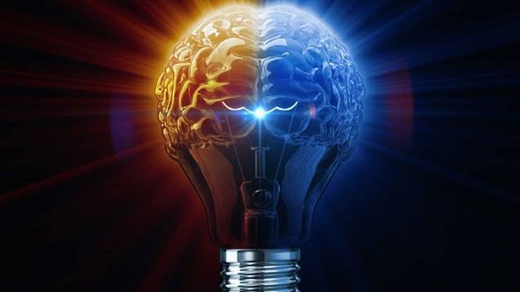 How the First 90 Minutes of Your Day Shape Your Brain’s Potential