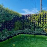 Free-Standing Green Walls
