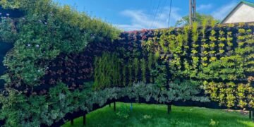 Free-Standing Green Walls