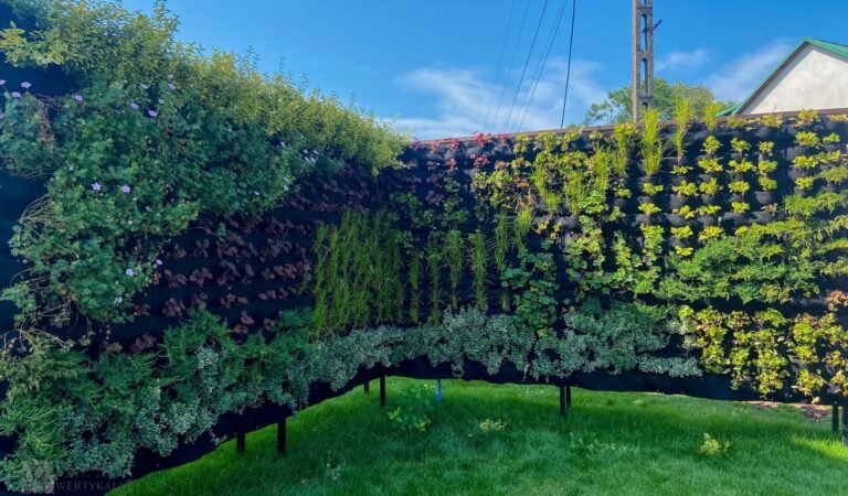 Free-Standing Green Walls: A Modern Way to Add Greenery Anywhere