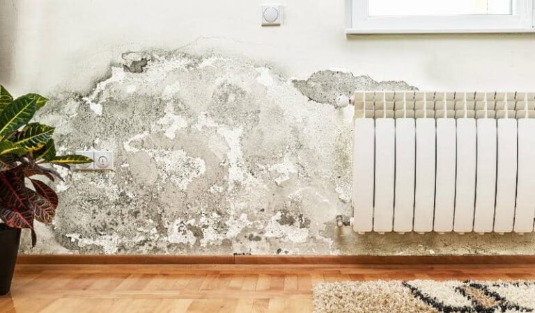 What Happens When Water Damage Meets a Deadline