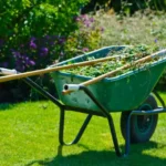 Yard Cleanup