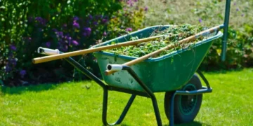 Yard Cleanup