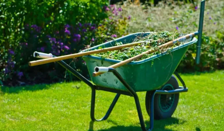 Essential Equipment for Handling Common Yard Cleanup and Landscaping Tasks