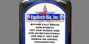 Animal Serum Products
